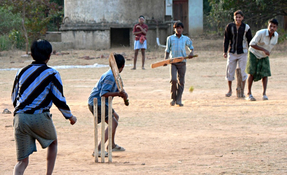 Cricket in Summer